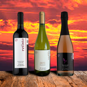 Vinos Ritual del día y la noche.